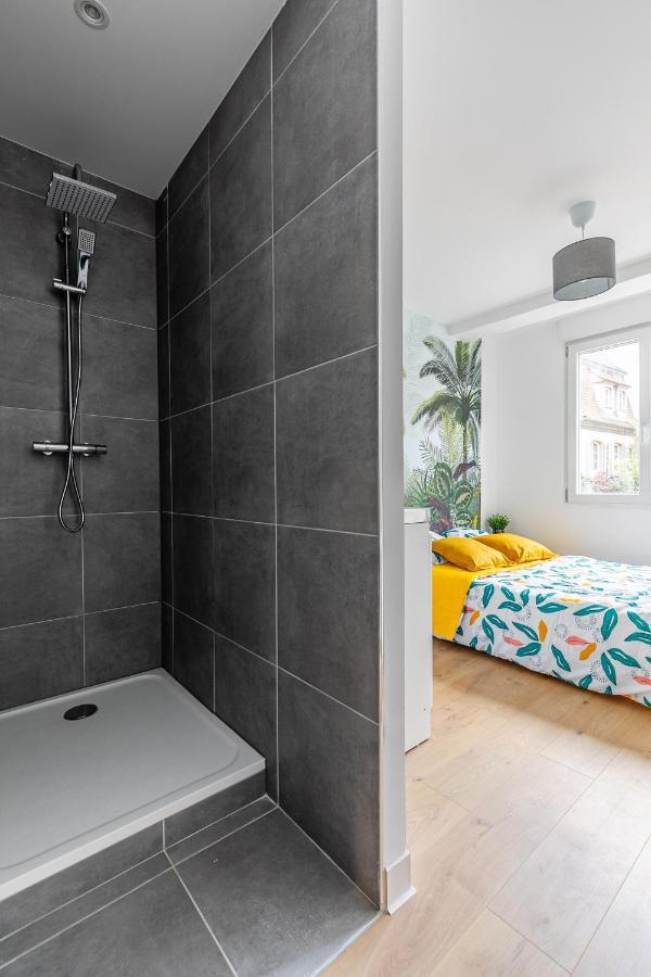 Strasbourg Centre / Krutneau Apartment Екстериор снимка