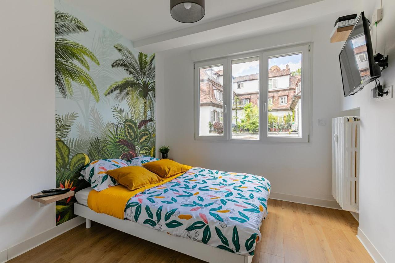 Strasbourg Centre / Krutneau Apartment Екстериор снимка