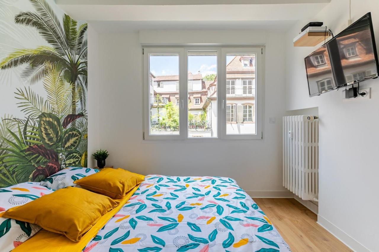 Strasbourg Centre / Krutneau Apartment Екстериор снимка